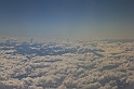 Kanary_2010 156